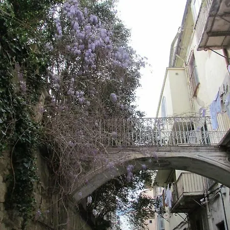 Bastia Au Pied Du Vieux Port Apartment *